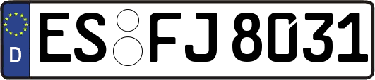 ES-FJ8031