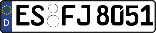 ES-FJ8051
