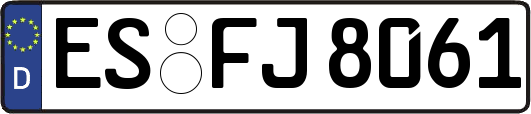 ES-FJ8061