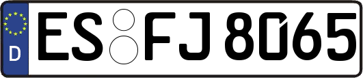 ES-FJ8065
