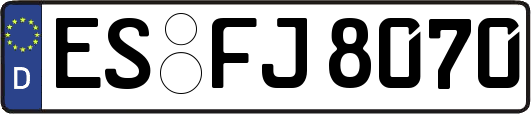 ES-FJ8070