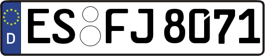 ES-FJ8071