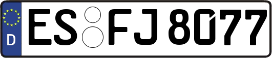 ES-FJ8077