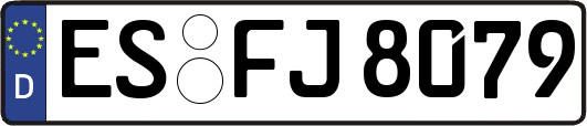 ES-FJ8079