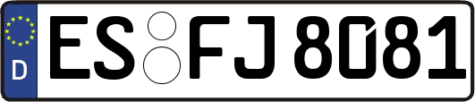 ES-FJ8081