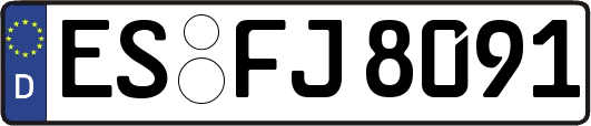 ES-FJ8091