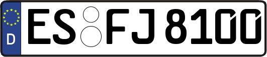ES-FJ8100