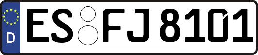 ES-FJ8101
