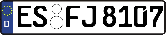 ES-FJ8107
