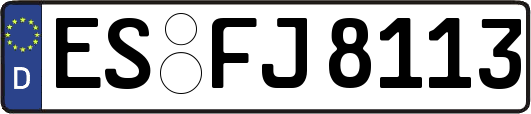 ES-FJ8113