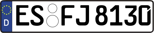 ES-FJ8130