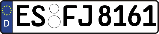 ES-FJ8161