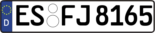 ES-FJ8165