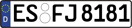 ES-FJ8181
