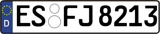ES-FJ8213