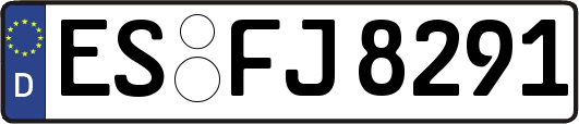 ES-FJ8291