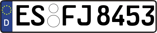 ES-FJ8453