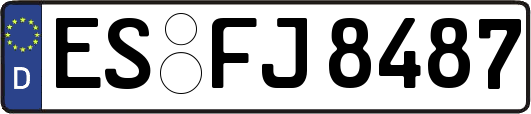 ES-FJ8487