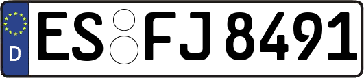 ES-FJ8491