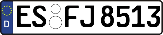 ES-FJ8513