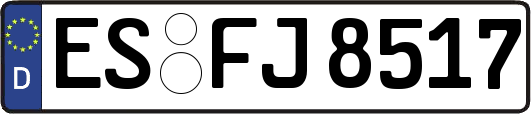 ES-FJ8517