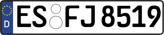 ES-FJ8519