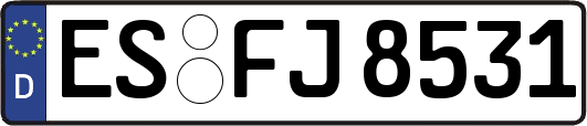 ES-FJ8531