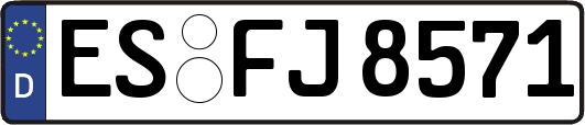 ES-FJ8571