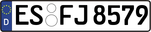 ES-FJ8579