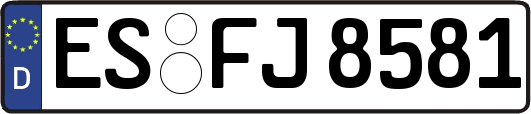 ES-FJ8581