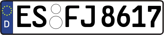 ES-FJ8617