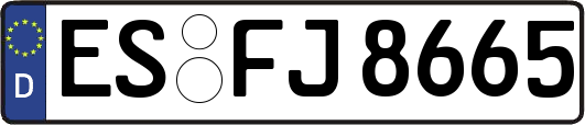 ES-FJ8665