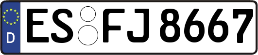 ES-FJ8667