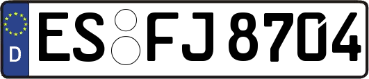 ES-FJ8704