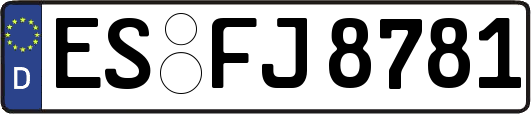 ES-FJ8781