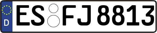 ES-FJ8813