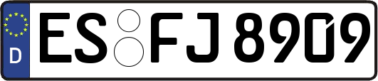 ES-FJ8909