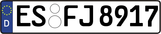 ES-FJ8917