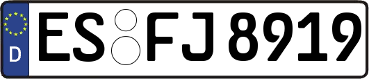 ES-FJ8919