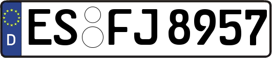 ES-FJ8957