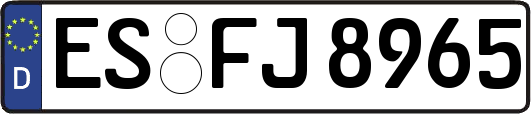 ES-FJ8965