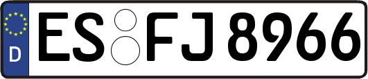 ES-FJ8966