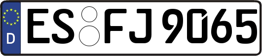 ES-FJ9065