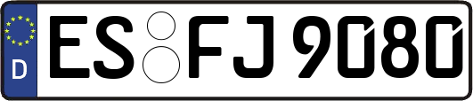 ES-FJ9080