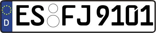 ES-FJ9101
