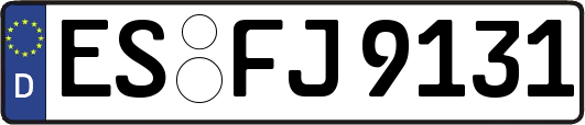 ES-FJ9131