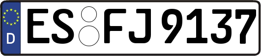 ES-FJ9137