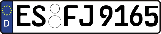 ES-FJ9165