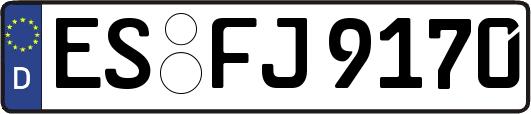 ES-FJ9170