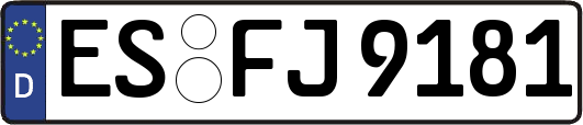 ES-FJ9181